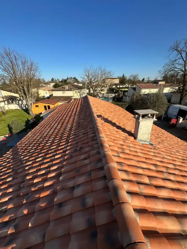 Faîtage de toiture en tuiles neuves et souche de cheminée, au-dessus d'un village girondin