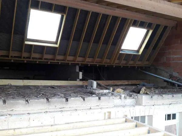 Deux fenêtres de toit installées entre les chevrons, vues depuis l'intérieur des combles